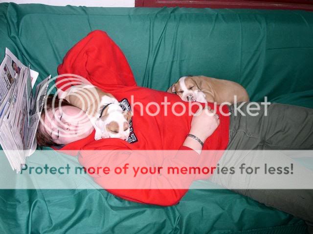 http://img69.photobucket.com/albums/v209/pinfieldrx7/puppys/PICT0555.jpg
